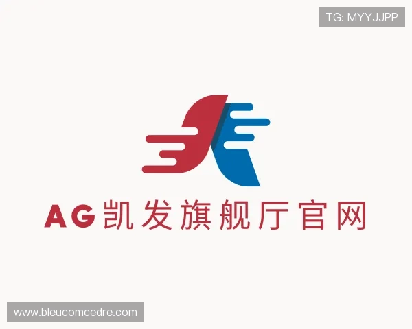 了解ag凯发旗舰厅官网